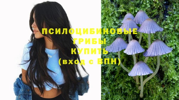 винт Баксан