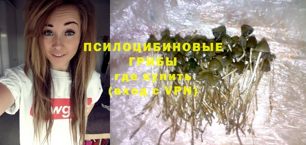 винт Баксан